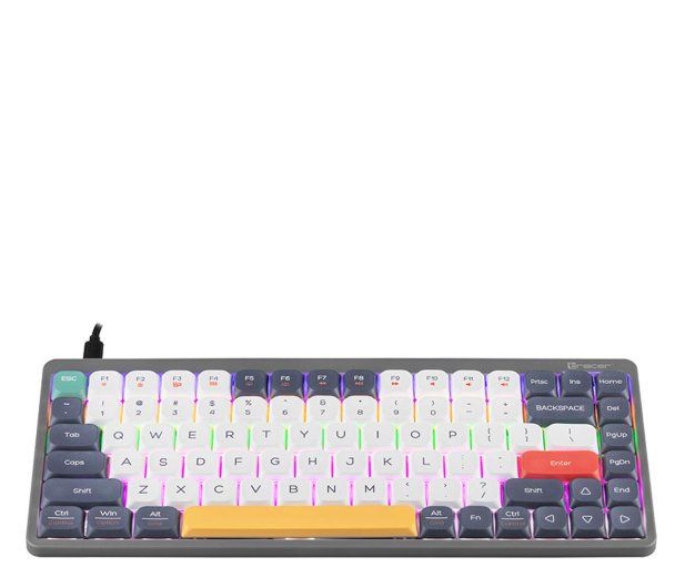 TRACER FINA 84 Grey - 1235810 - zdjęcie 3